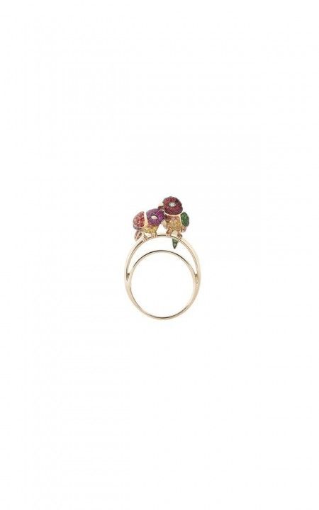 Nuri, the Parrot ring, JRG02194