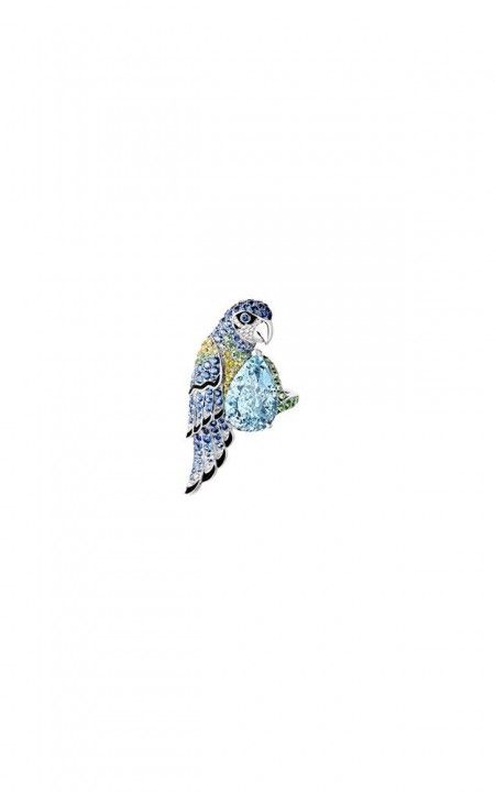 Nuri, the Parrot Ring, JRG02725