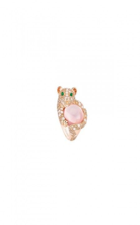 Shibli, the lion cub ring, JRG02200