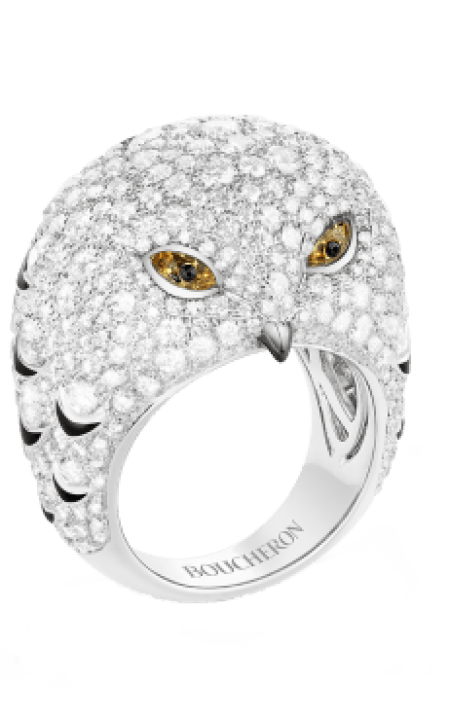 Oulu, the Owl Ring, JRG02736