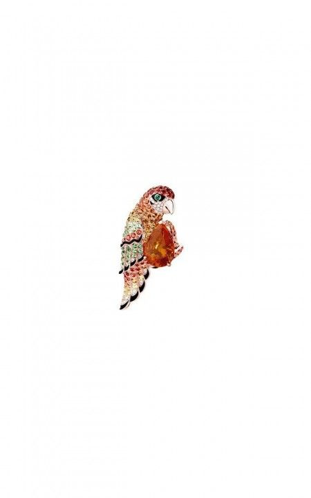 Nuri, the Parrot Ring, JRG02770